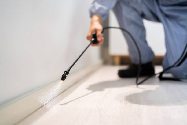 Rodent Entry Point Assessment in Marion Oaks