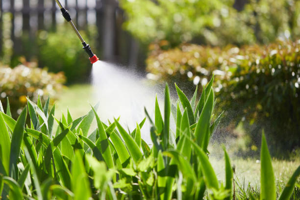 Tamper-Resistant Bait Stations for Rodents in Marion Oaks