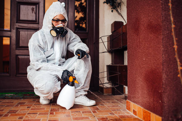 Attic and Crawl Space Rodent Treatment in Marion Oaks