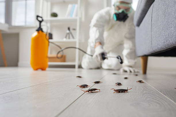 Commercial Rodent Management in Marion Oaks